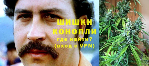 ПСИЛОЦИБИНОВЫЕ ГРИБЫ Балабаново