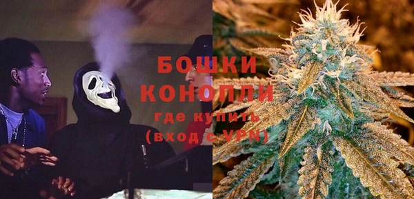 ПСИЛОЦИБИНОВЫЕ ГРИБЫ Балабаново