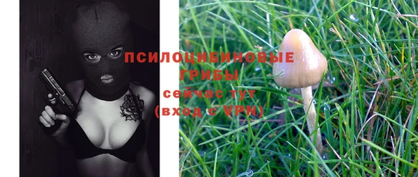Альфа ПВП Баксан