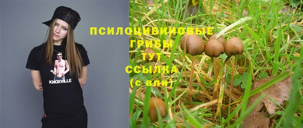 Альфа ПВП Баксан