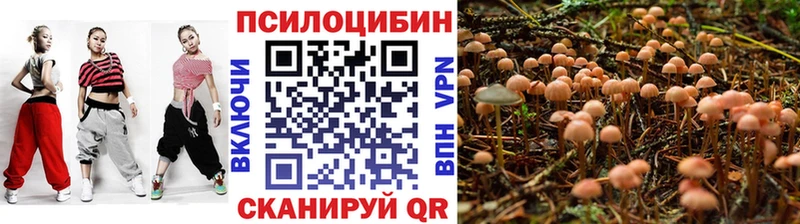 Галлюциногенные грибы GOLDEN TEACHER Сухой Лог